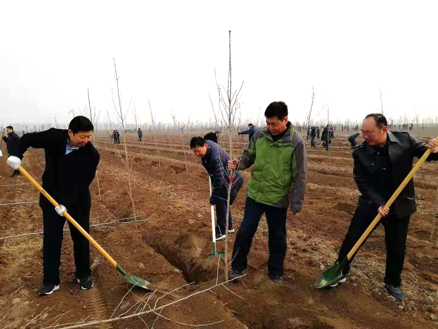 市体育局领导班子成员于2月28日到新乡县开展植树活动