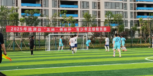 图片7