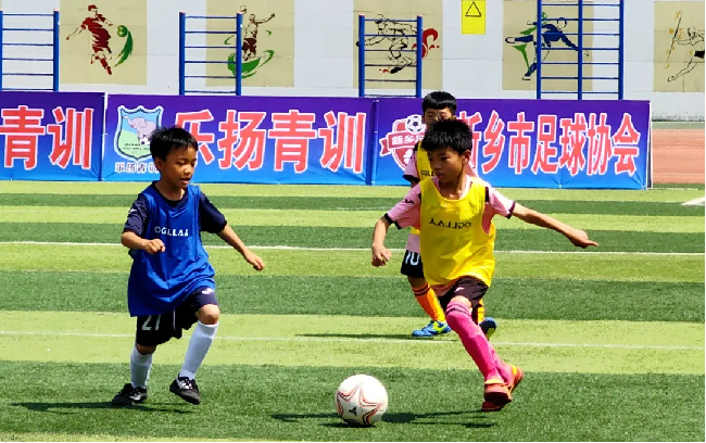 图片2